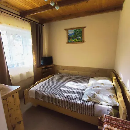 Pensjonat Plai Jaremcze